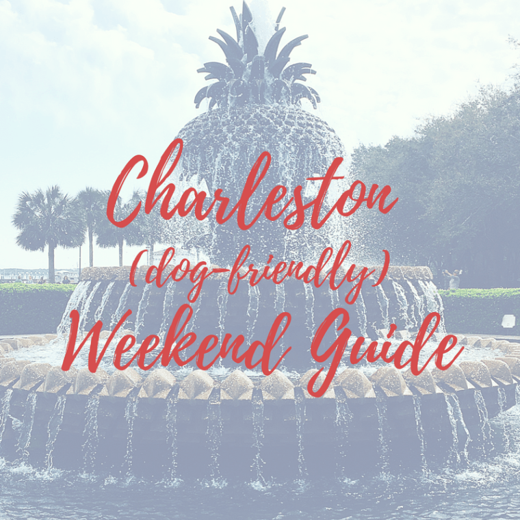 charleston-dog-friendly-weekend-guide